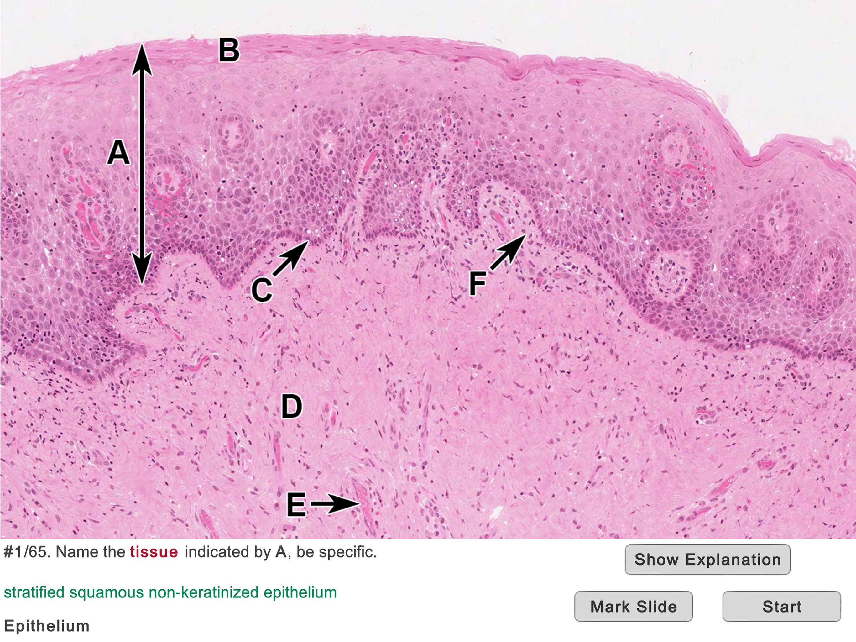 Histo!のおすすめ画像5