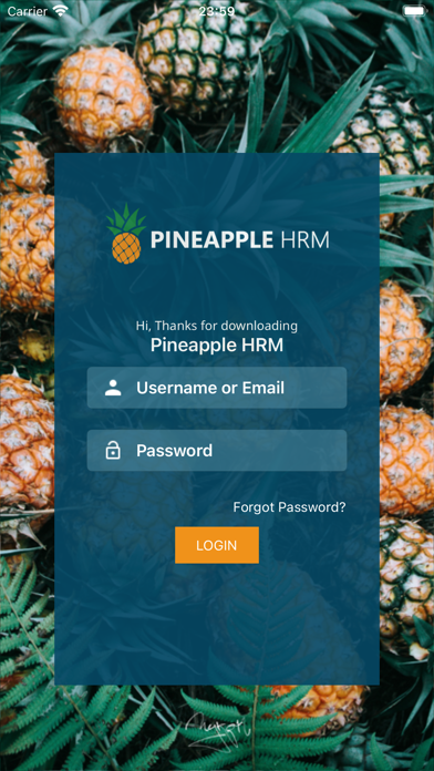 Screenshot #2 pour Pineapple HRM