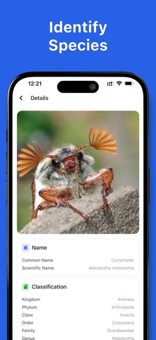 Bug Identifier App™ Screenshot 4 of 4