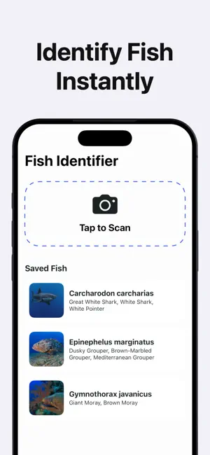 AI Fish Identifier by Photo screenshot 1