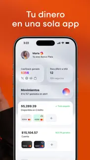banco plata айфон картинки 2