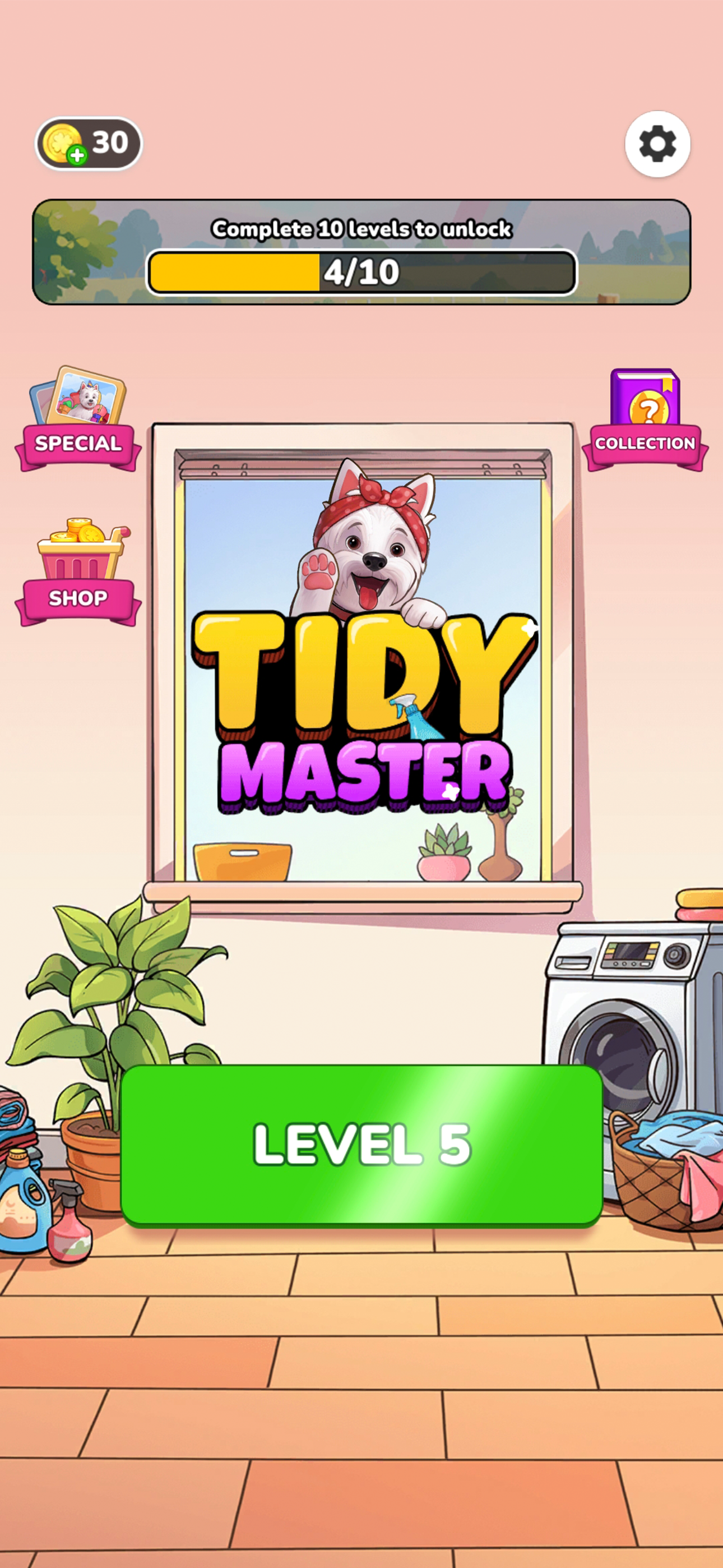 Tidy Master: Hidden Objects