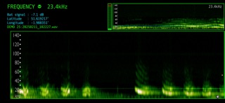 Bat Detector Screenshot 5 of 5