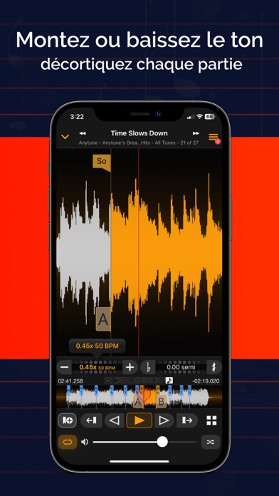 Screenshot #3 pour Anytune