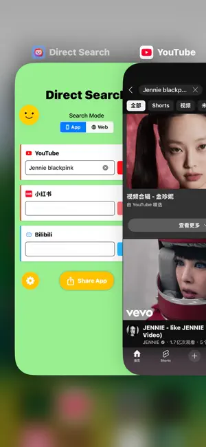 Direct Search screenshot 3