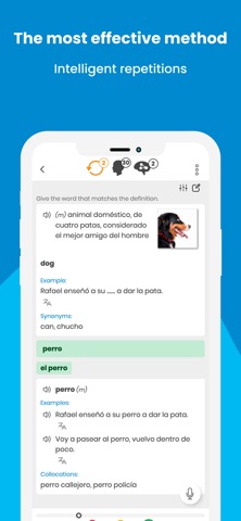 SuperMemo – effective learning Screenshot 4 of 9