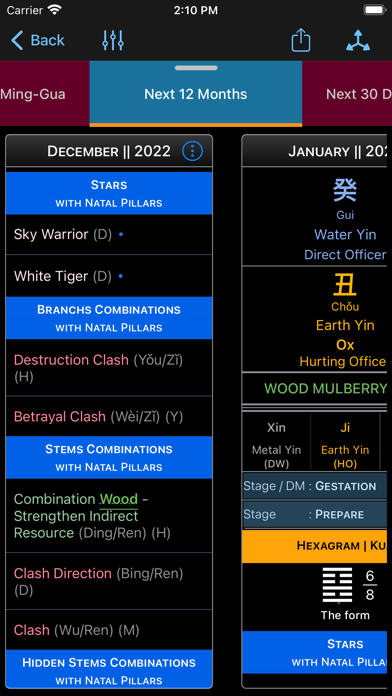 E-BaZi Lite AI Screenshot
