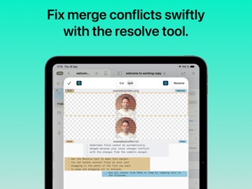 Working Copy - Git client Screenshot 4