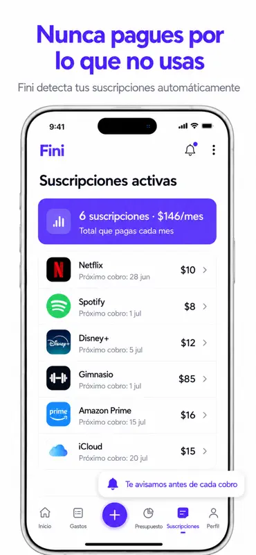 Fini: Control de Gastos screenshot 8 of 10