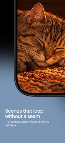 应用截图 3