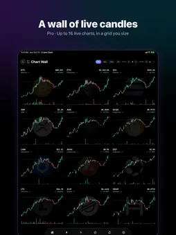 Crypto Dash: Portfolio Tracker screenshot 14