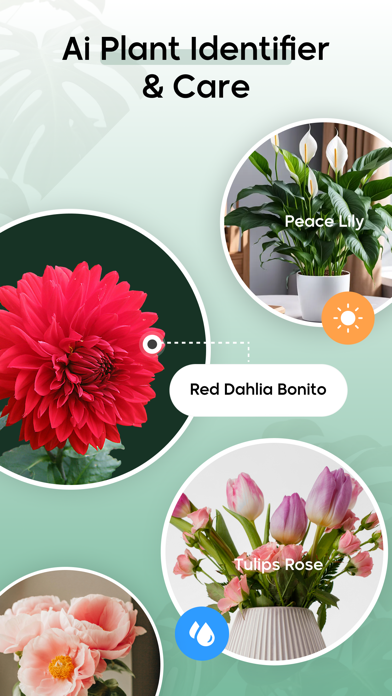 Ai Plant Identifire Plant Care Screenshot