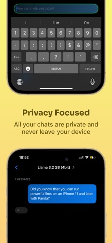 Panda LLM Offline & Private AI iPhone screenshot