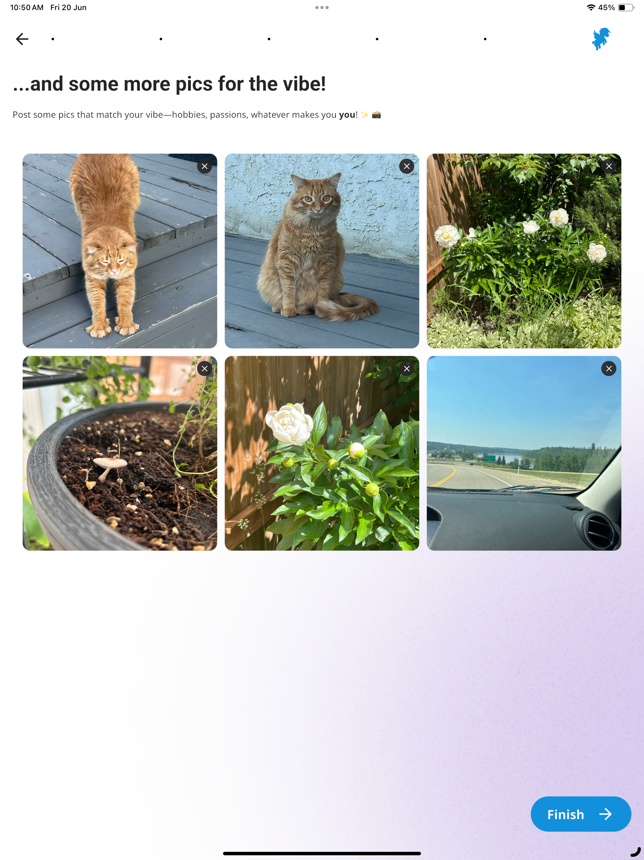 AORA - Find Plans, Meet People screenshot 9