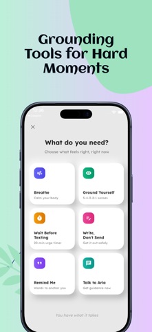 HealSage: Narcissist Recovery screenshot