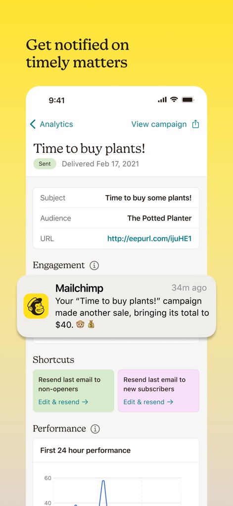 Mailchimp Email Marketing - This screenshot highlights the app's real-time anomaly detection notifications for sales and provides immediate shortcuts to re-engage non-openers or new subscribers.