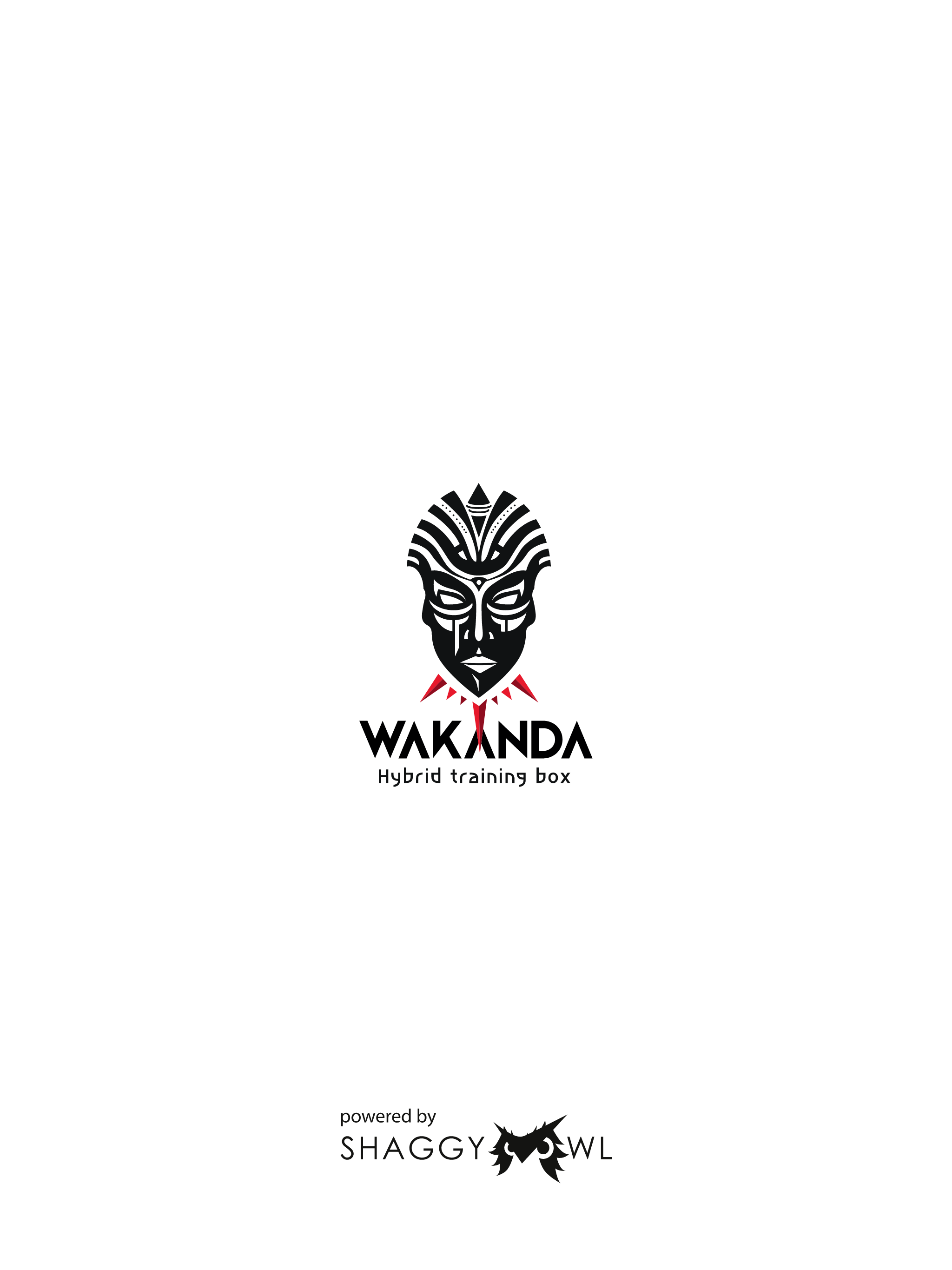 WAKANDA Hybrid training box