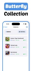 Butterfly Identifier - Paply screenshot