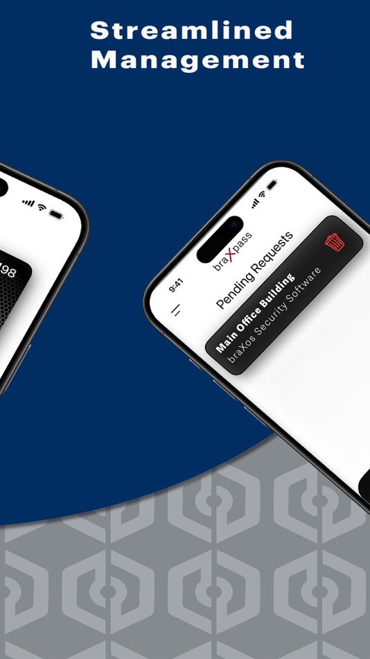 #2. braXpass (iOS) 由: braXos