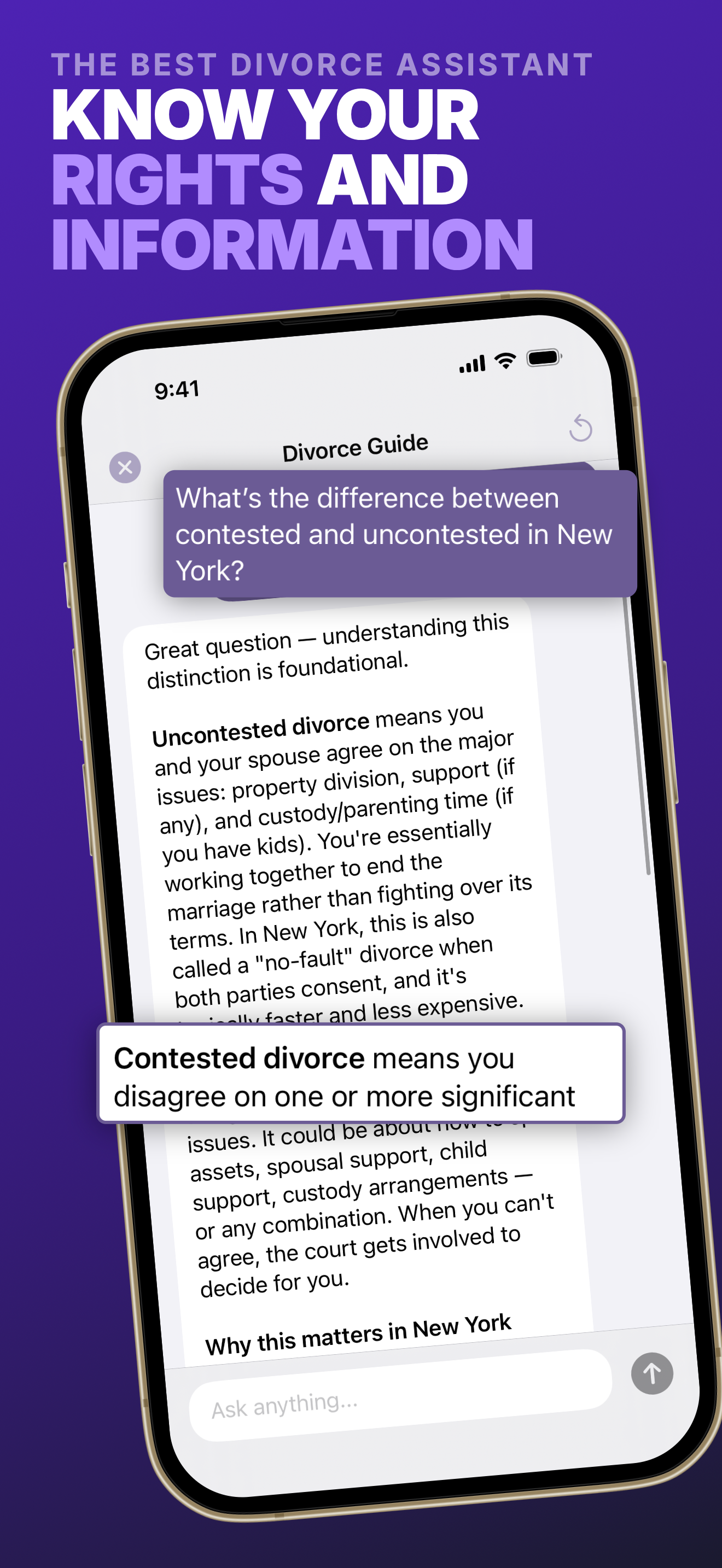 Divorce IQ: Planning AI Guide