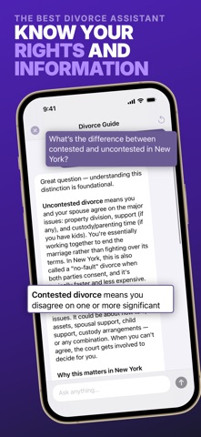 Divorce IQ: Planning AI Guide iPhone screenshot