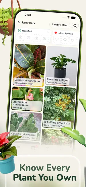 Plant Care Tracker - Ploi screenshot 2