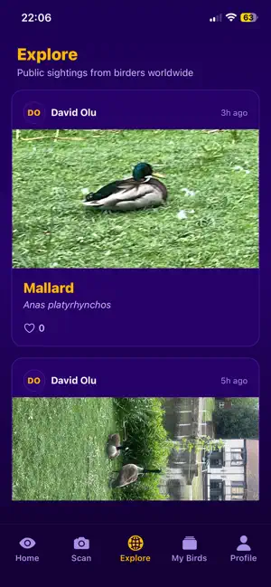 Snap A Bird screenshot 2
