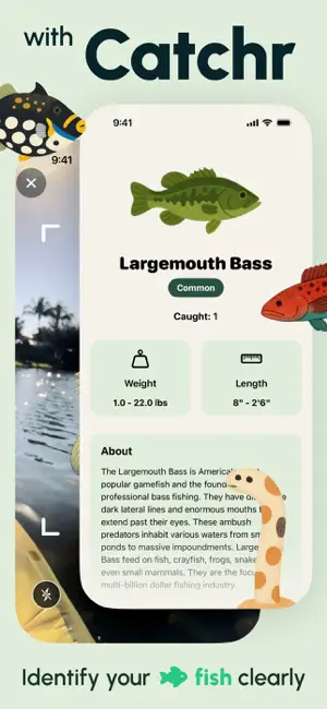 Catchr: Fish Identifier screenshot 2