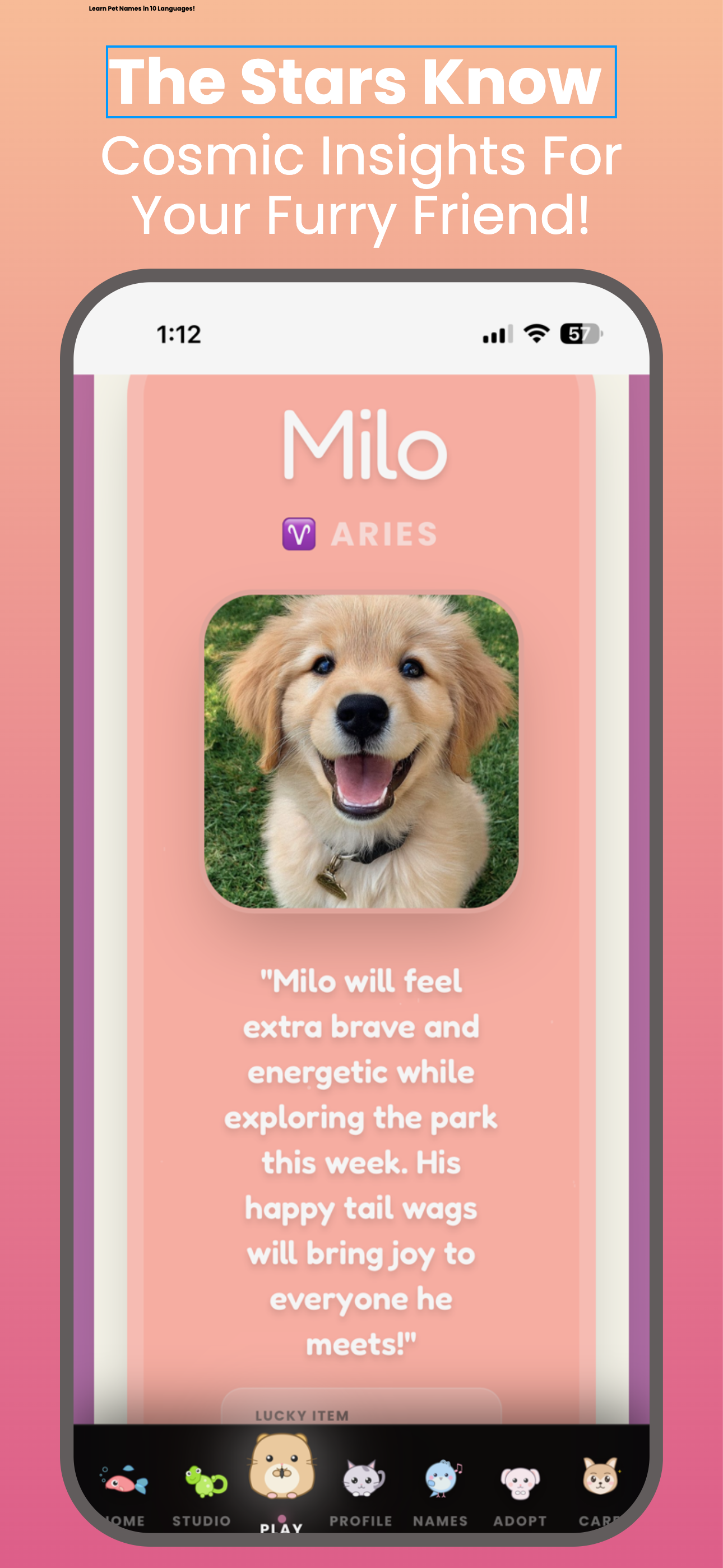 My PetaVerse: Pet Art & Games