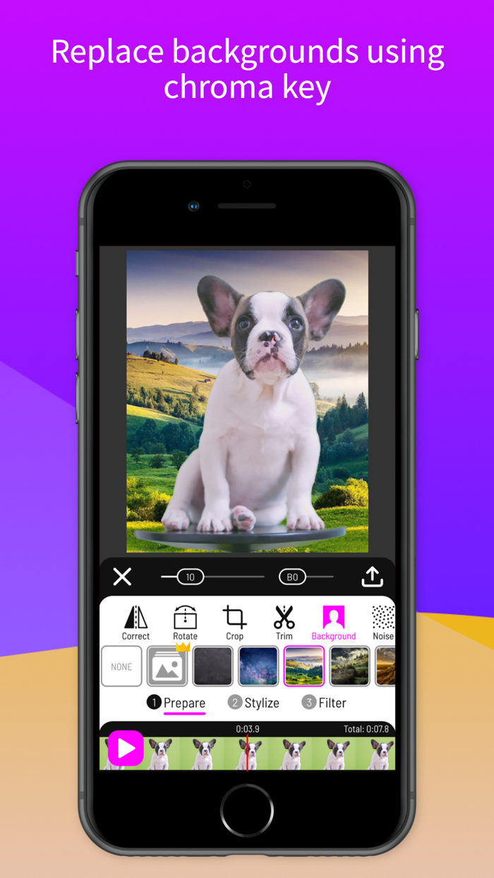 Paintation Video Art Filters