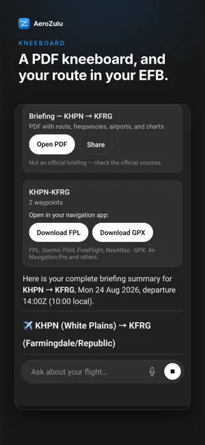 AeroZulu VFR Briefing screenshot 4