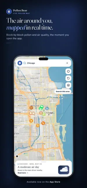 Pollen Bear screenshot 1