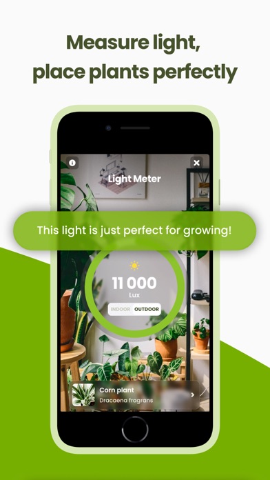 Plant Identifier & Care: Ficus iPhone screenshot 8 - Education app