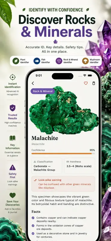 Curio: Nature Identifier screenshot 2 of 5