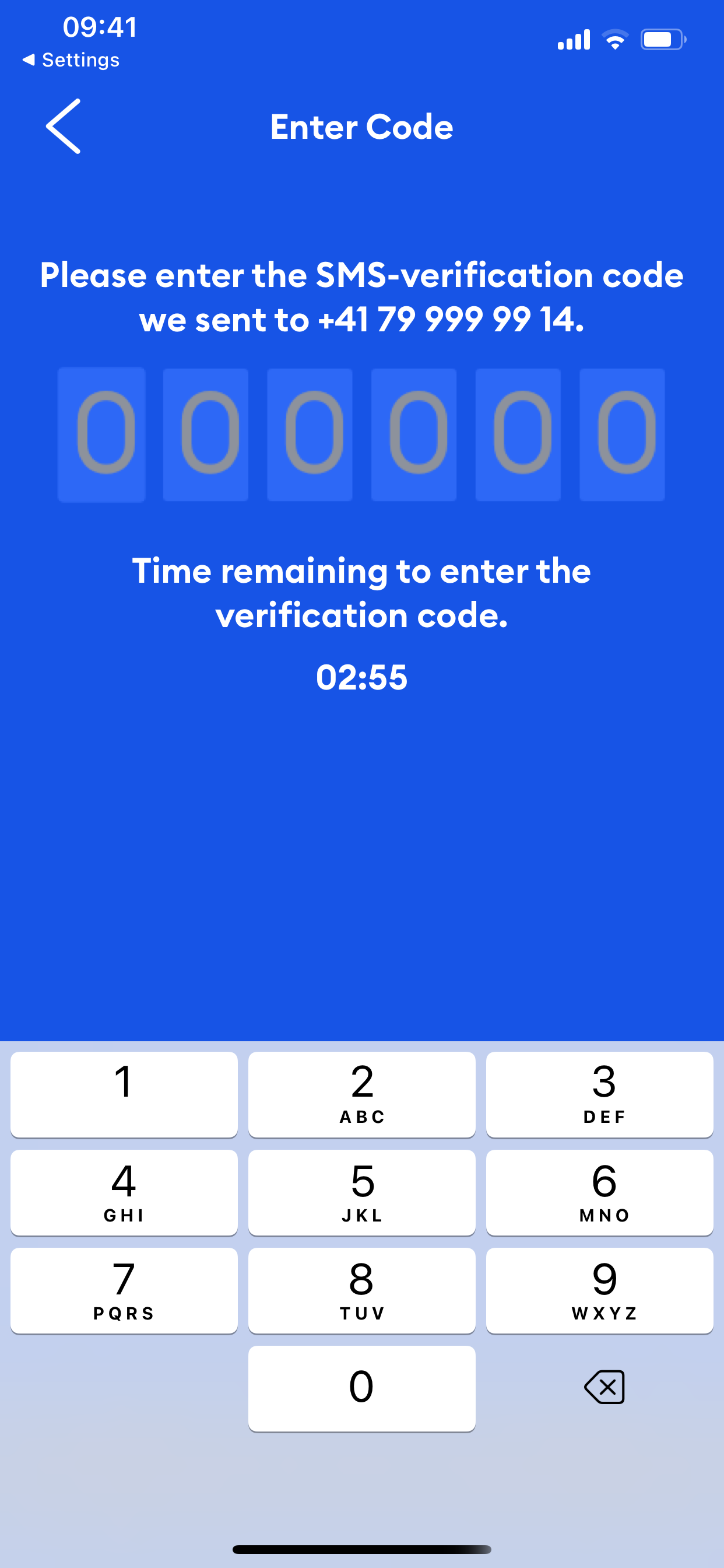 Handycash screenshot 3