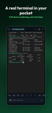 ShellPilot: SSH & Snippets Screenshot 2 of 5