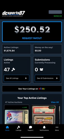 dcsports87 screenshot