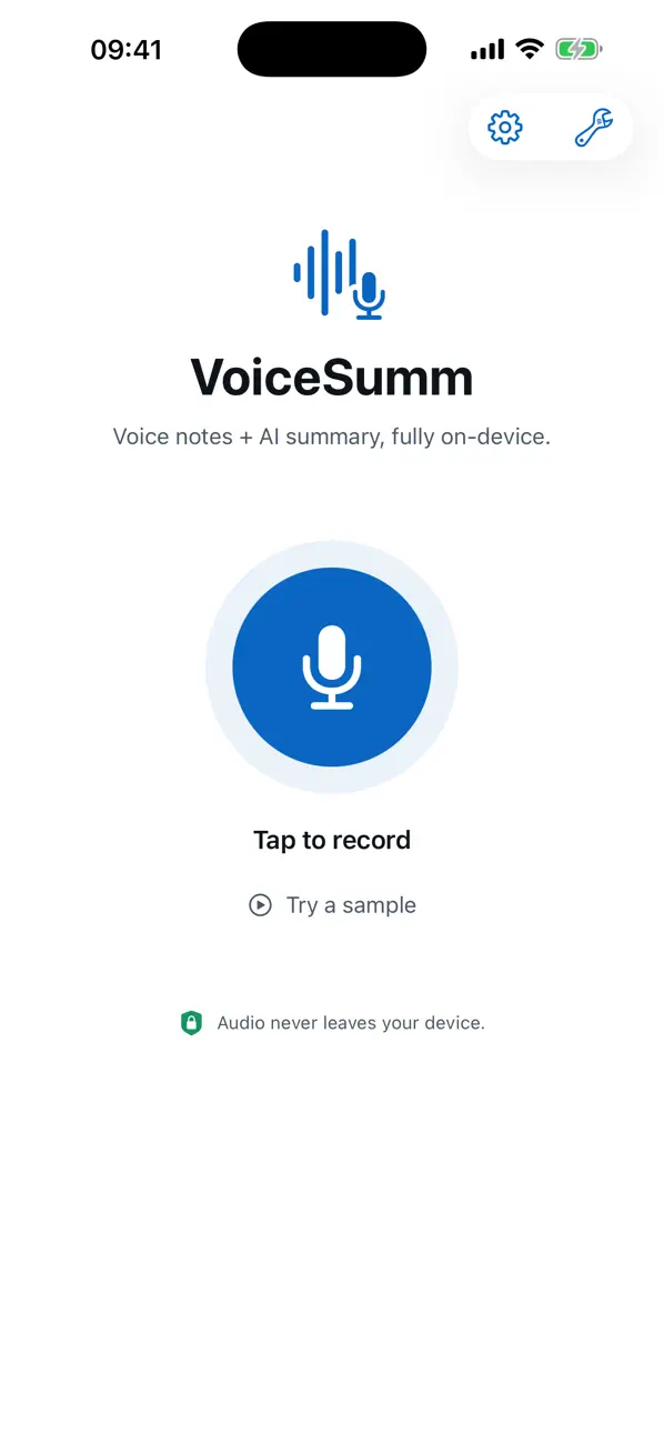 Screenshot #1 pour VoiceSumm