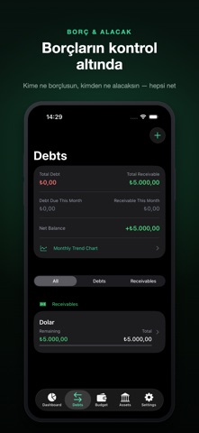Parametre: Budget, Gold, Debt Screenshot 5 of 5