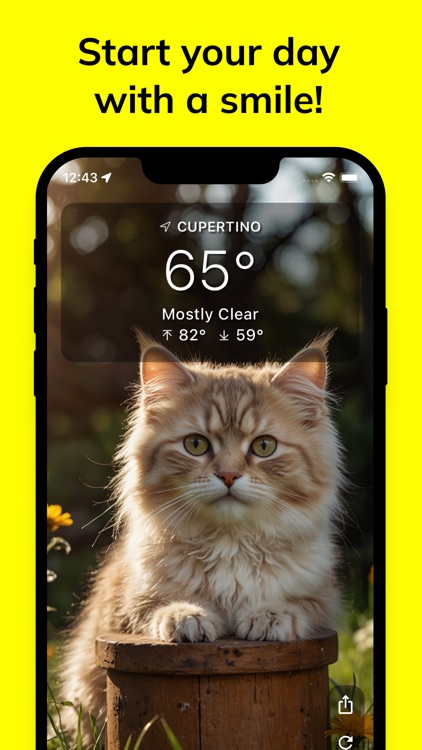 Meow Weather - Cat Forecast