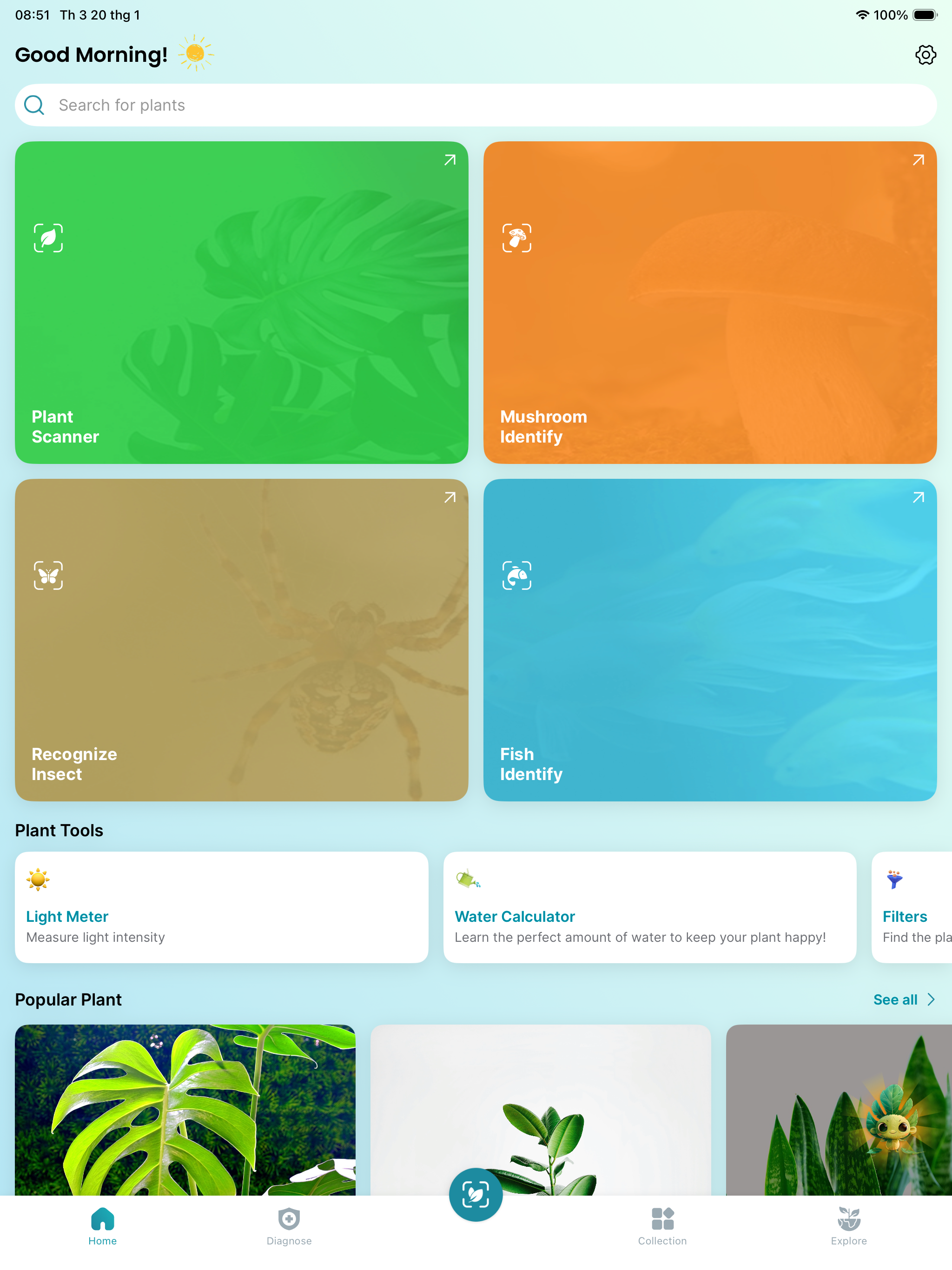 AI Plant Identifier & Scanner