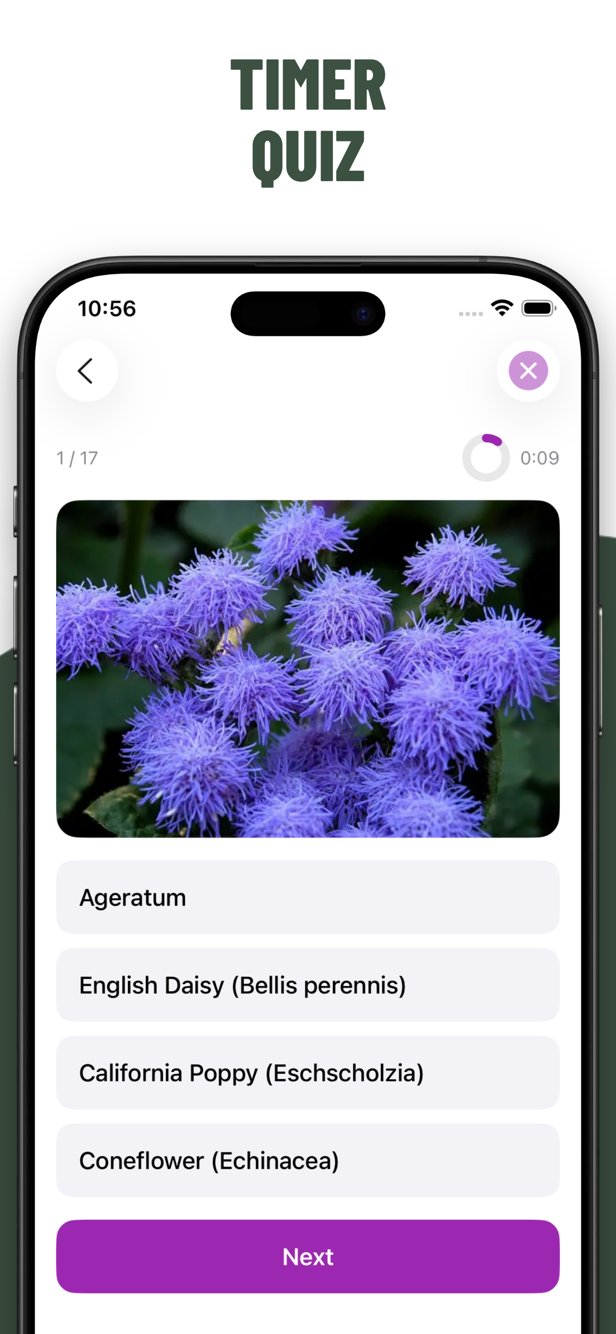 Flowers Quiz Identify Types screenshot 4
