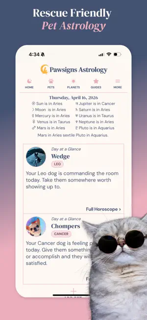 Pawsigns screenshot 1