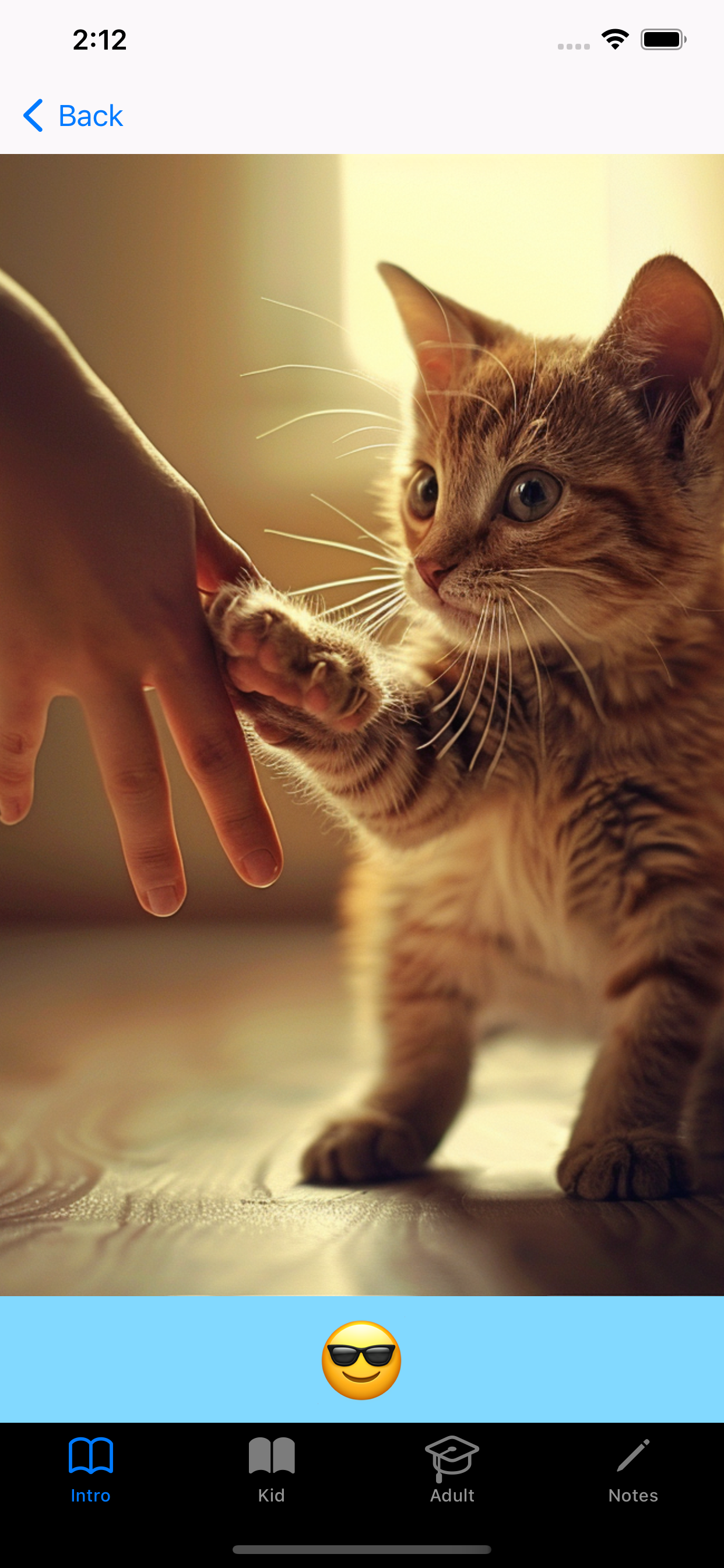 Polite Behaviors and skills