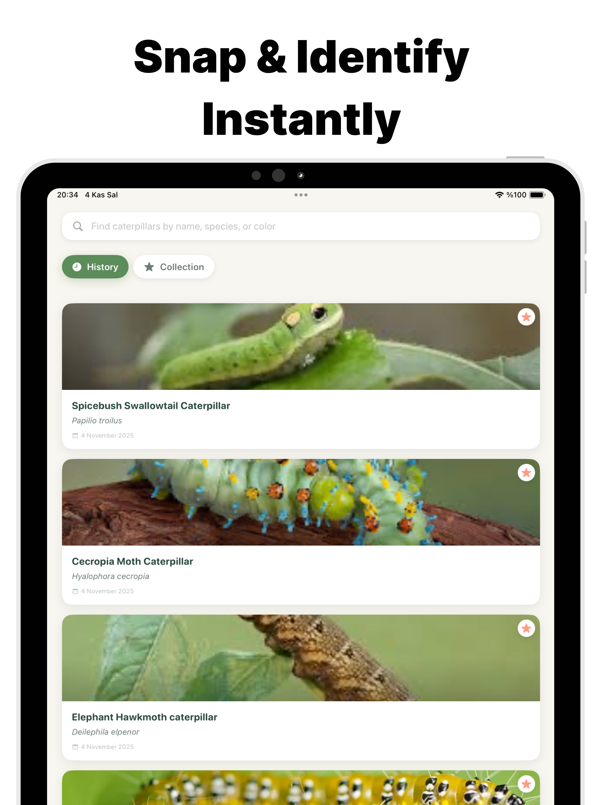 CaterID Caterpillar Identifier