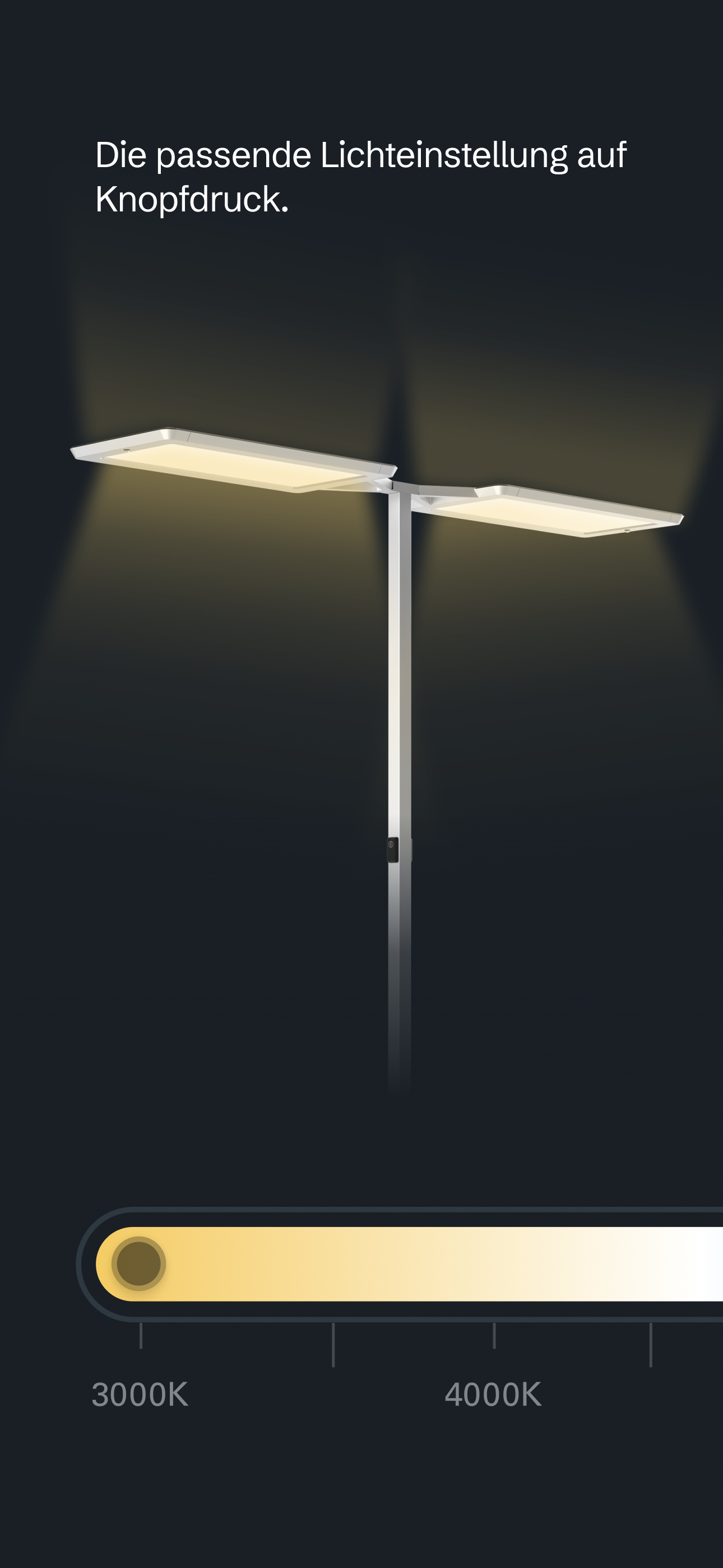 Waldmann LIGHT USER