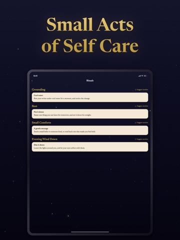 NiDa: Daily Reflection Journal iPad screenshot