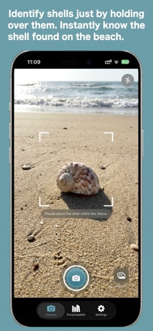 ShellLens - Seashell AI Guide screenshot