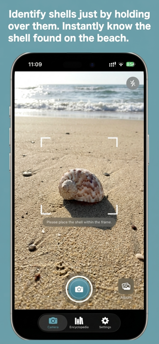 ShellLens - Seashell AI Guide Screenshot 1 of 3