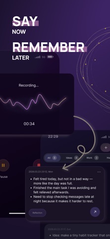 Voice Memory • AI Summary screenshot